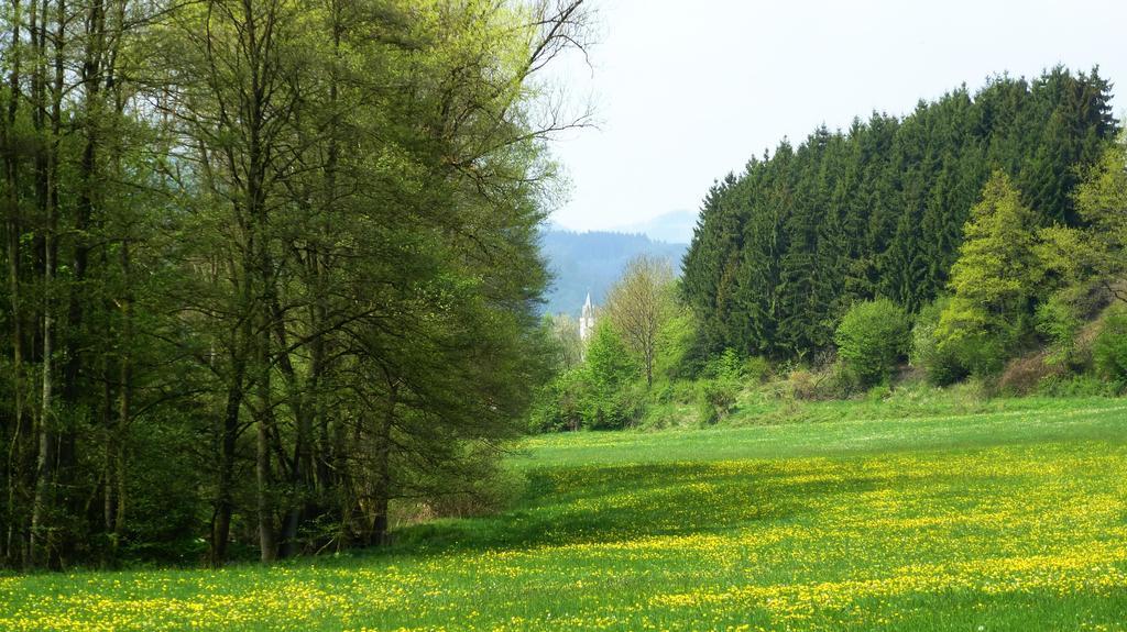 Villa Olsberg Elpe Zimmer foto